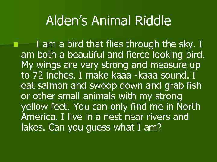 Alden’s Animal Riddle n I am a bird that flies through the sky. I