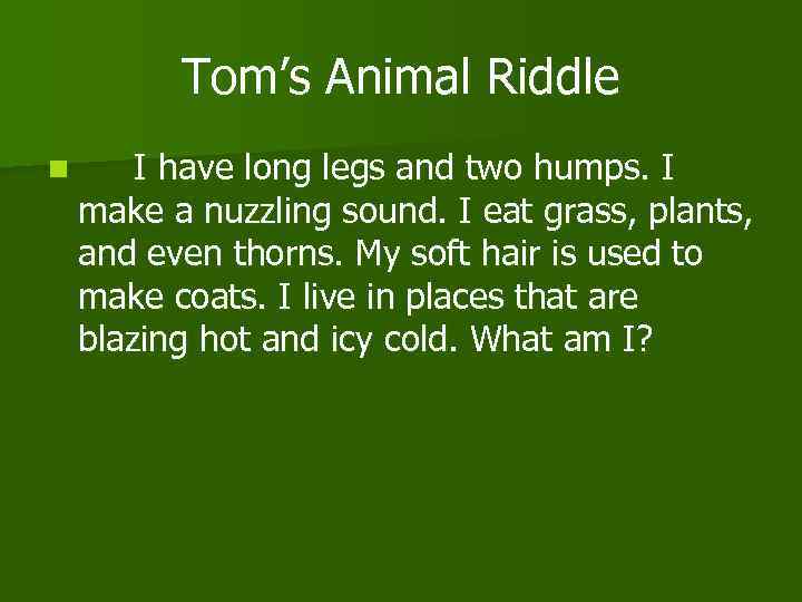 Tom’s Animal Riddle n I have long legs and two humps. I make a