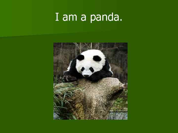 I am a panda. 
