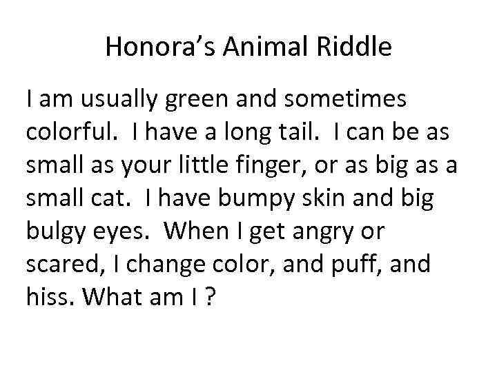 Honora’s Animal Riddle I am usually green and sometimes colorful. I have a long
