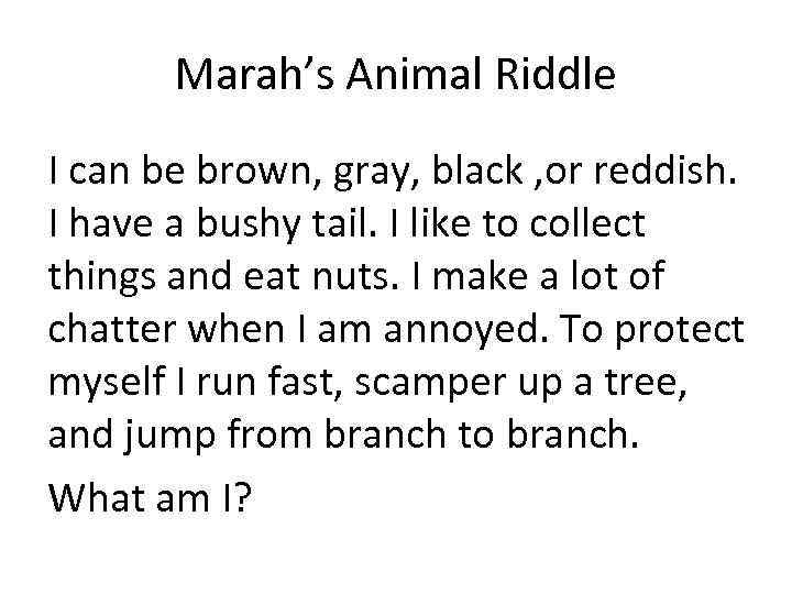 Marah’s Animal Riddle I can be brown, gray, black , or reddish. I have