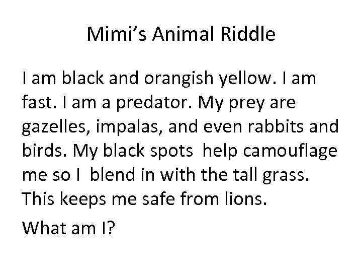 Mimi’s Animal Riddle I am black and orangish yellow. I am fast. I am