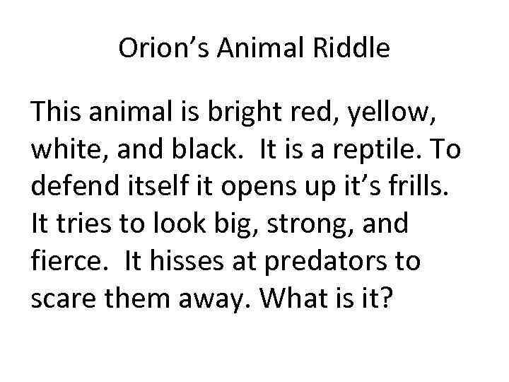 Orion’s Animal Riddle This animal is bright red, yellow, white, and black. It is