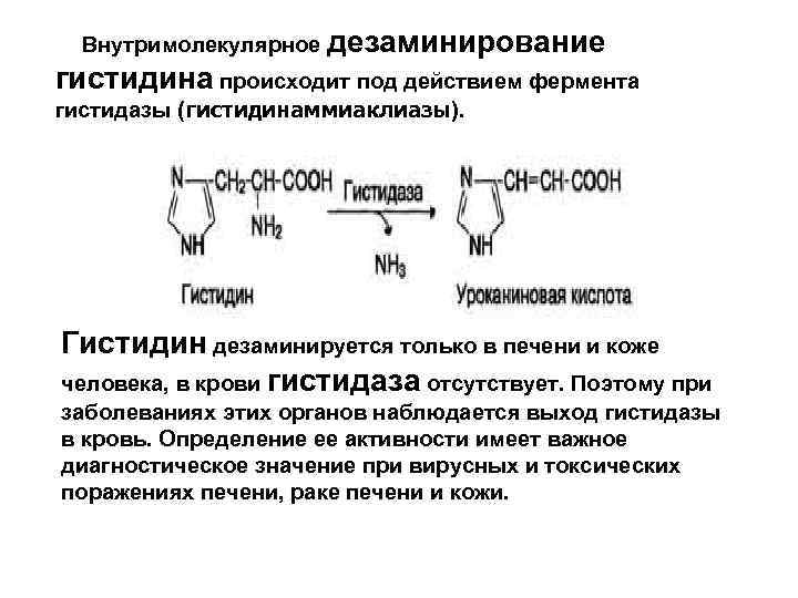 Аминокислоты биохимия презентация