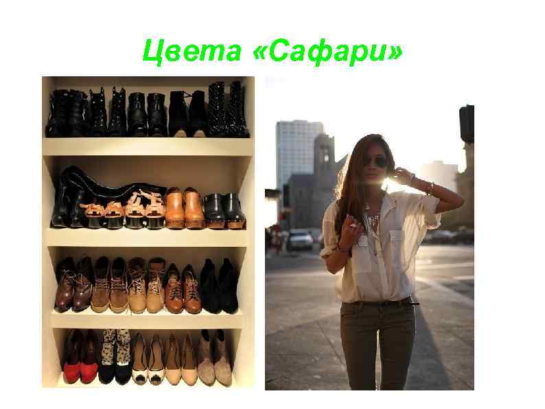 Цвета «Сафари» 