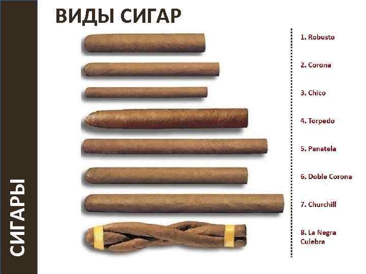 СИГАРЫ ВИДЫ СИГАР 