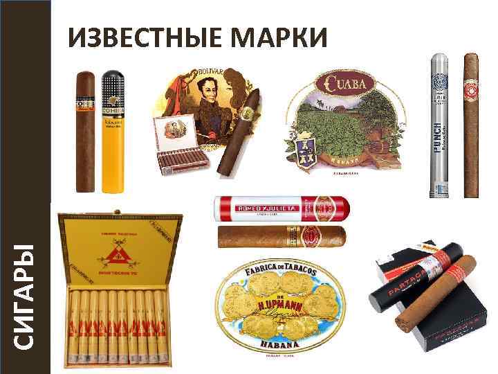 СИГАРЫ ИЗВЕСТНЫЕ МАРКИ 