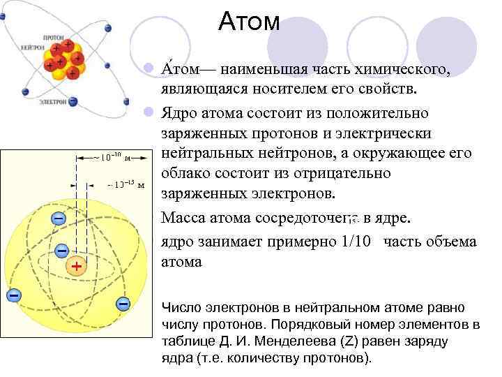 Атом l А том— наименьшая часть химического, являющаяся носителем его свойств. l Ядро атома