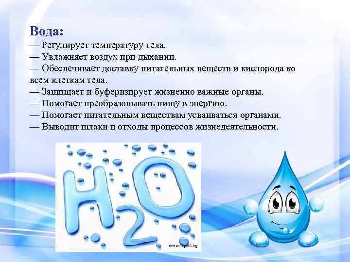 Вода: — Регулирует температуру тела. — Увлажняет воздух при дыхании. — Обеспечивает доставку питательных