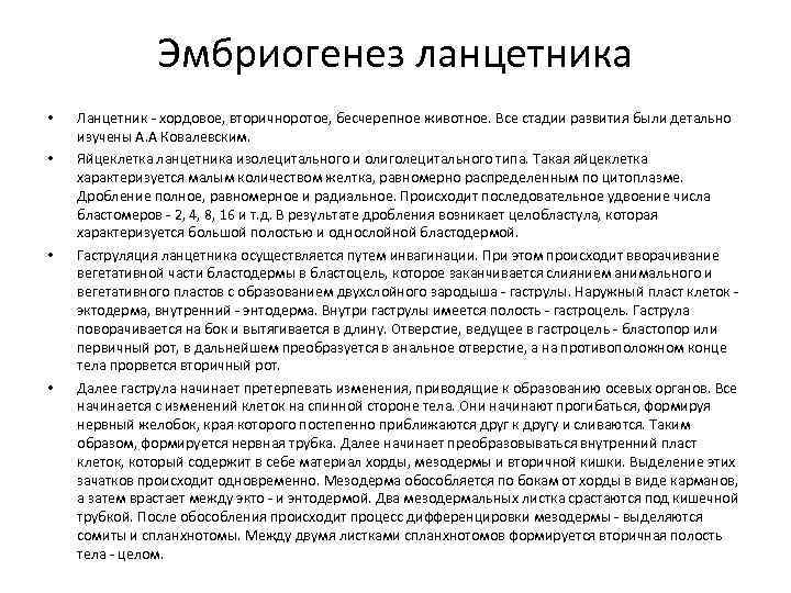 Эмбриогенез ланцетника • • Ланцетник - хордовое, вторичноротое, бесчерепное животное. Все стадии развития были
