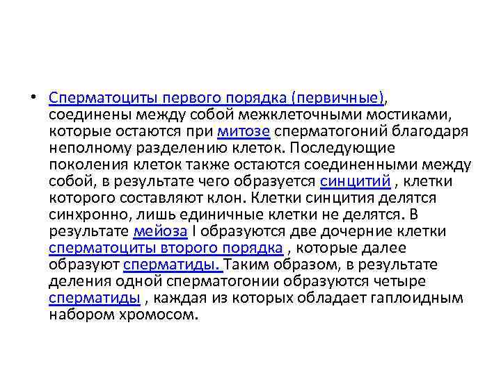  • Сперматоциты первого порядка (первичные), соединены между собой межклеточными мостиками, которые остаются при
