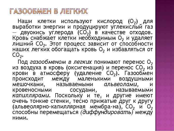 Наши клетки используют кислород (О 2) для выработки энергии и продуцируют углекислый газ —