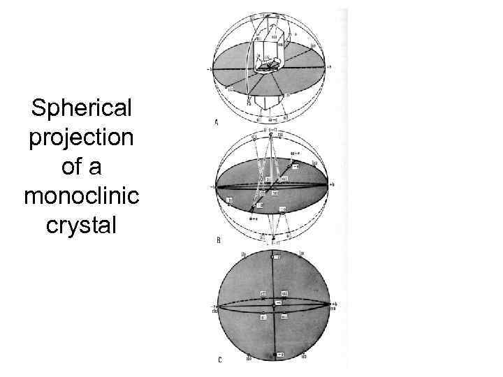 Spherical projection of a monoclinic crystal 