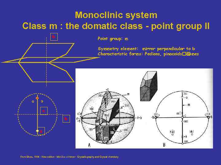 Monoclinic system Class m : the domatic class - point group II b Point