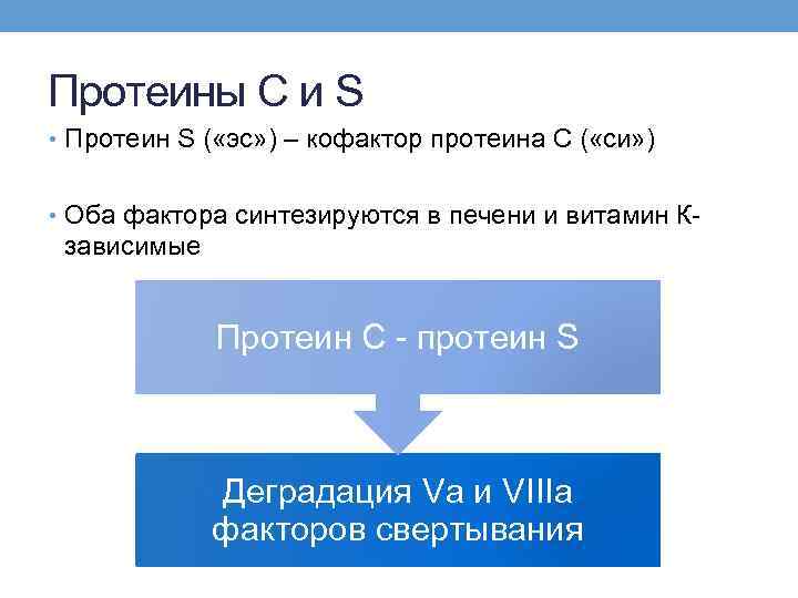 Протеины С и S • Протеин S ( «эс» ) – кофактор протеина С