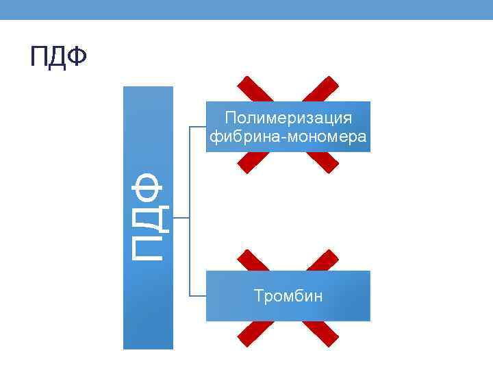 ПДФ Полимеризация фибрина-мономера Тромбин 