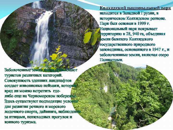 Колхидский национальный парк находится в Западной Грузии, в историческом Колхидском регионе. Парк был основан