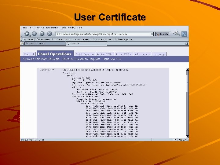 User Certificate 