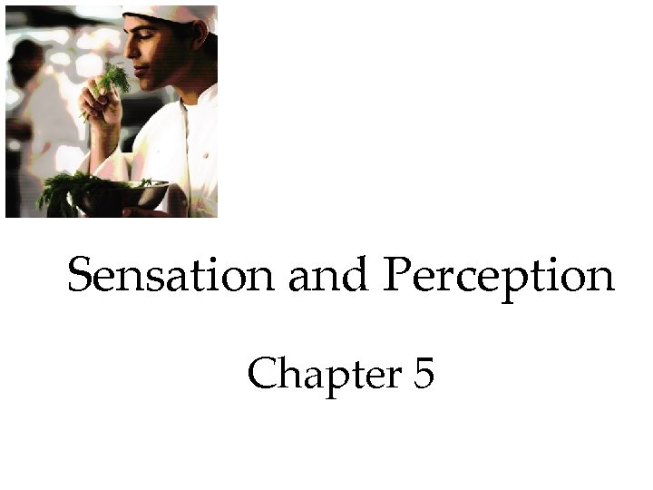 Sensation and Perception Chapter 5 