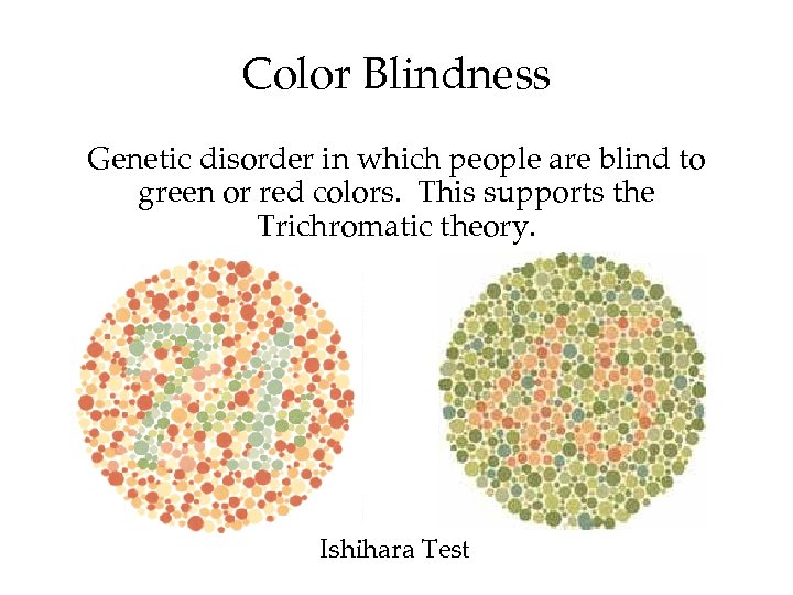 Color Blindness Genetic disorder in which people are blind to green or red colors.