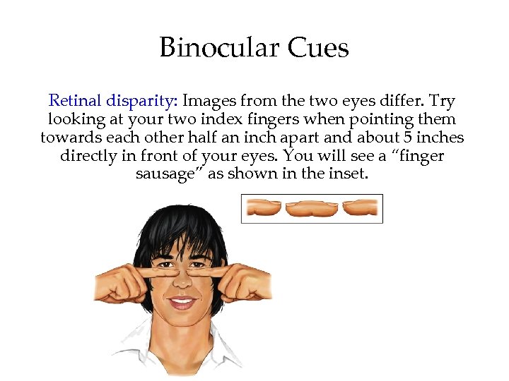 Binocular Cues Retinal disparity: Images from the two eyes differ. Try looking at your
