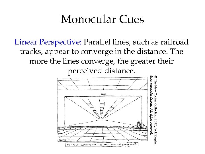 Monocular Cues Linear Perspective: Parallel lines, such as railroad tracks, appear to converge in