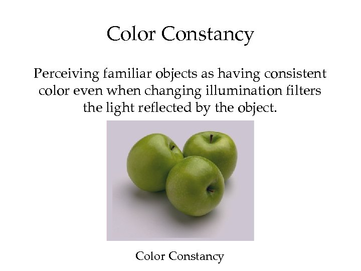 Color Constancy Perceiving familiar objects as having consistent color even when changing illumination filters