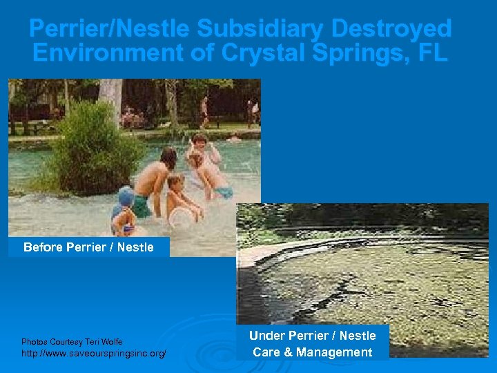 Perrier/Nestle Subsidiary Destroyed Environment of Crystal Springs, FL Before Perrier / Nestle Photos Courtesy