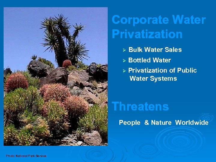 Corporate Water Privatization Ø Bulk Water Sales Ø Bottled Water Ø Privatization of Public