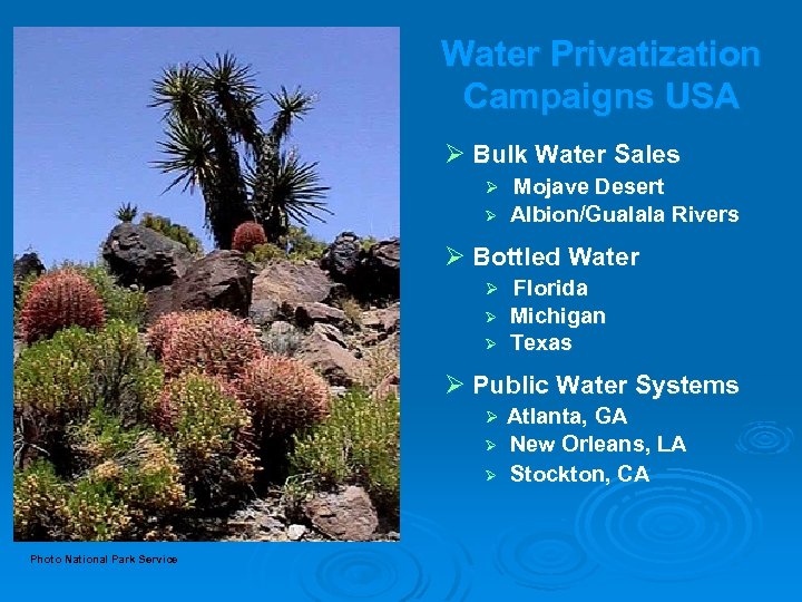 Water Privatization Campaigns USA Ø Bulk Water Sales Ø Ø Mojave Desert Albion/Gualala Rivers