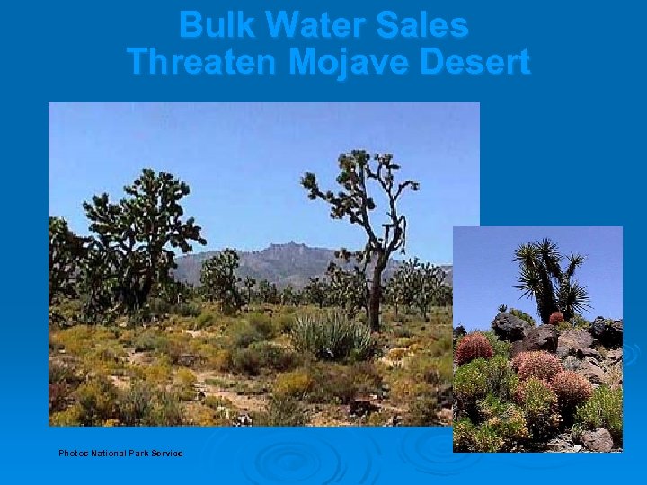 Bulk Water Sales Threaten Mojave Desert Photos National Park Service 