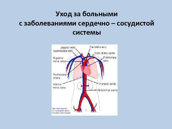 Уход за больными с заболеваниями сердечно – сосудистой системы 