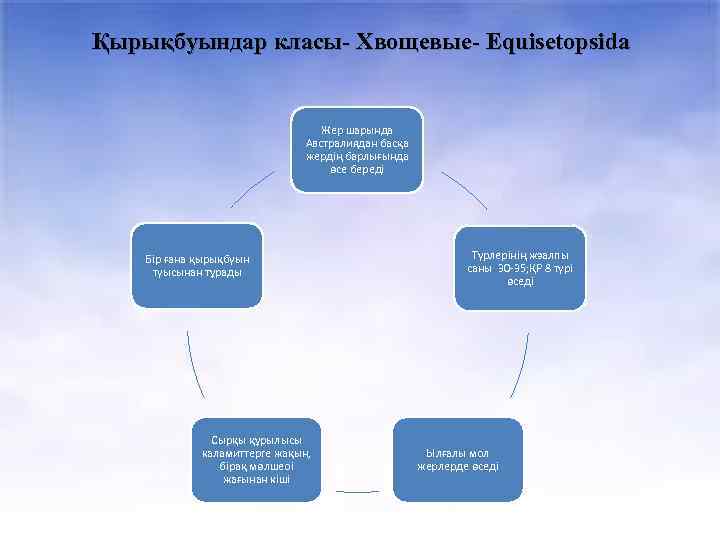 Қырықбуындар класы- Хвощевые- Equisetopsida Жер шарында Австралиядан басқа жердің барлығында өсе береді Бір ғана