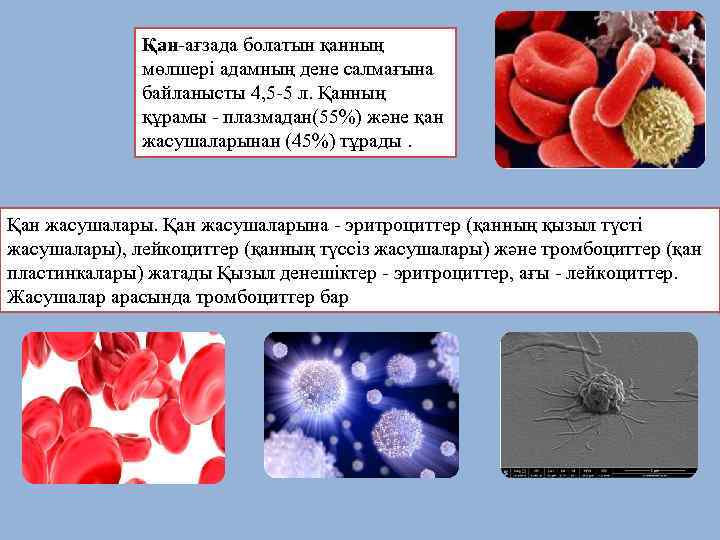 Қан-ағзада болатын қанның мөлшері адамның дене салмағына байланысты 4, 5 -5 л. Қанның құрамы