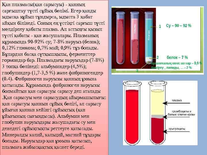 Қан плазмасы(қан сарысуы) - қанның сарғыштау түсті сұйық бөлімі. Егер қанды ыдысқа құйып тұндырса,