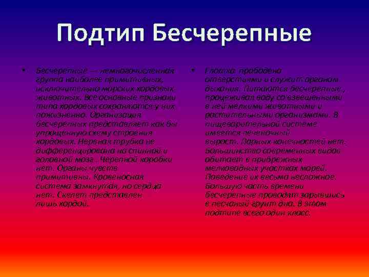 Подтип Бесчерепные • Бесчерепные — немногочисленная группа наиболее примитивных, исключительно морских хордовых животных. Все