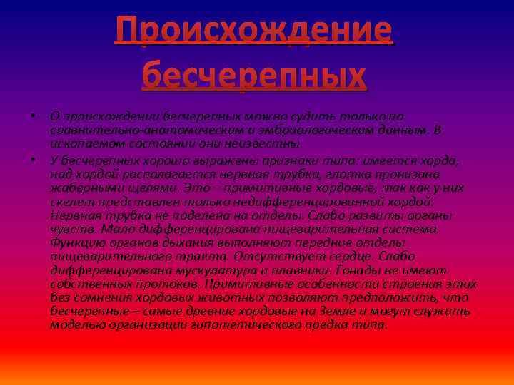 Происхождение бесчерепных • О происхождении бесчерепных можно судить только по сравнительно-анатомическим и эмбриологическим данным.