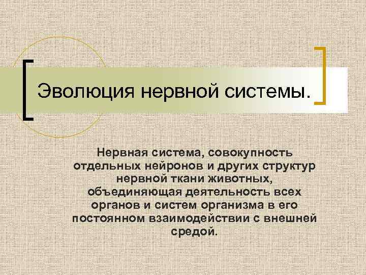 Эволюция нервной системы. Нервная система, совокупность отдельных нейронов и других структур нервной ткани животных,