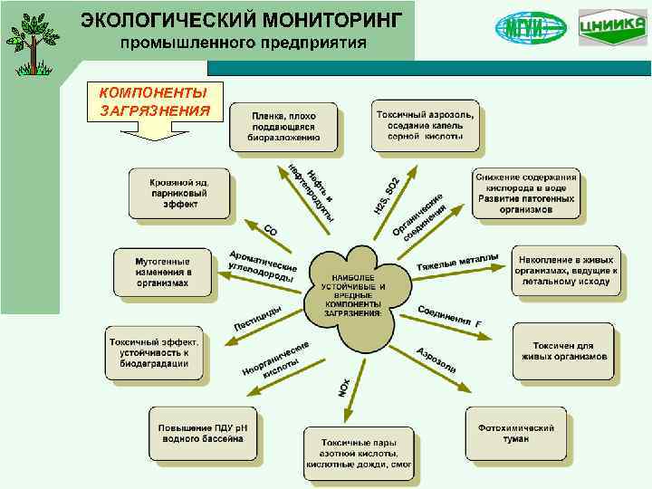 КОМПОНЕНТЫ ЗАГРЯЗНЕНИЯ 