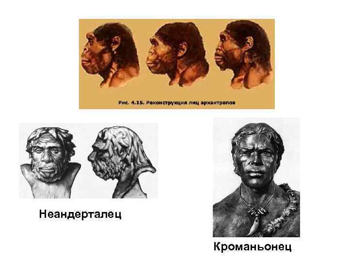 Неандерталец Кроманьонец 