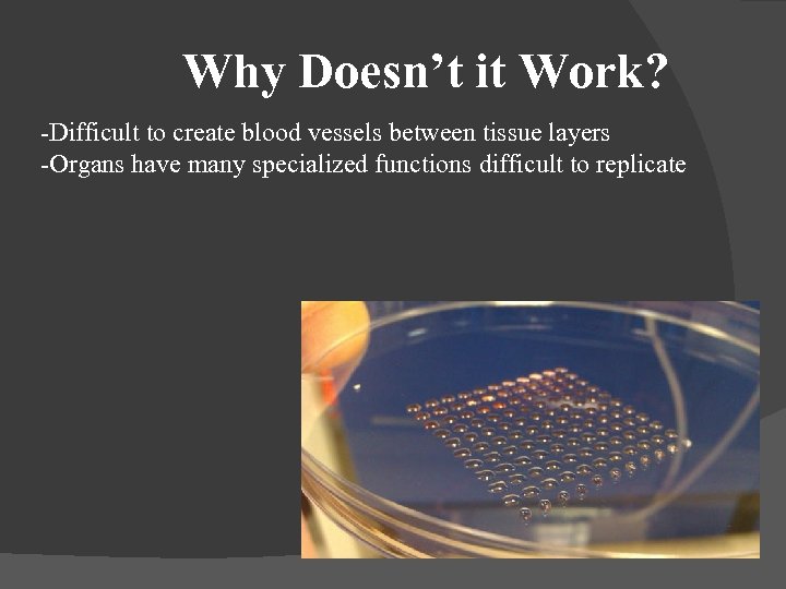 Why Doesn’t it Work? -Difficult to create blood vessels between tissue layers -Organs have