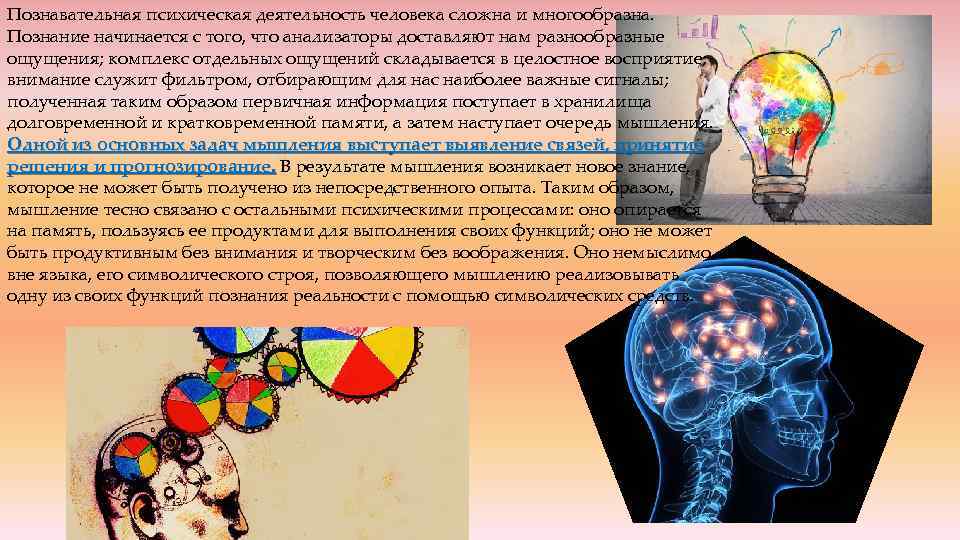 Познавательная психическая деятельность человека сложна и многообразна. Познание начинается с того, что анализаторы доставляют