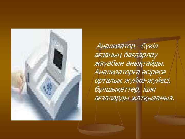 Анализатор –бүкіл ағзаның бағдарлау жауабын анықтайды. Анализаторға әсіресе орталық жуйке-жуйесі, бұлшықеттер, ішкі ағзаларды жатқызамыз.