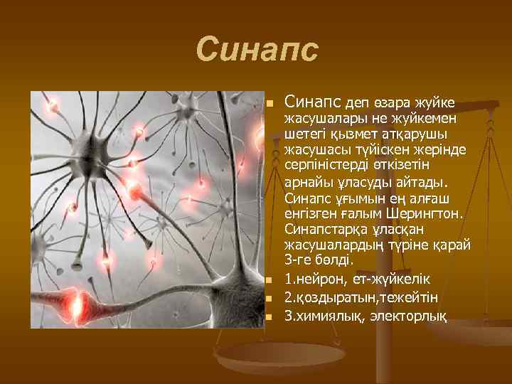 Синапс n n Синапс деп өзара жуйке жасушалары не жуйкемен шетегі қызмет атқарушы жасушасы