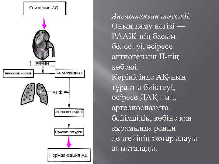 Ангиотензин тәуелді. Оның даму негізі — РААЖ-нің басым белсенуі, әсіресе ангиотензин ІІ-нің көбеюі. Көрінісінде