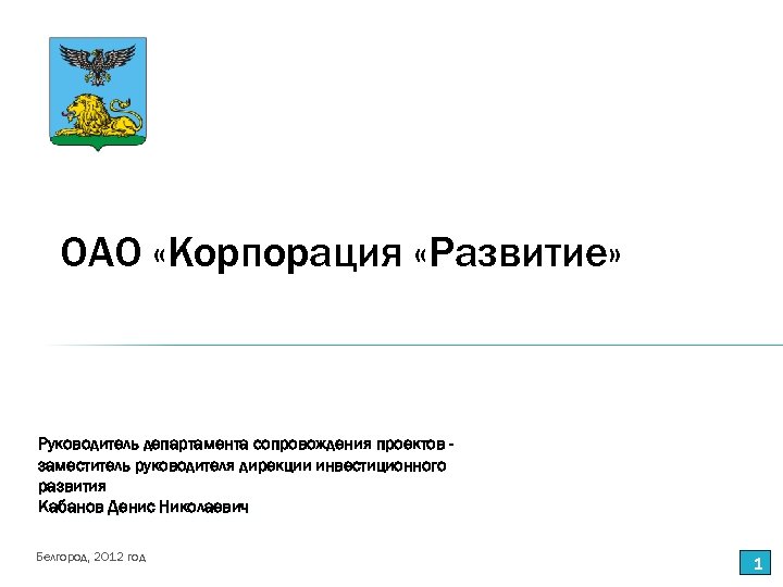 Руководитель развития проектов