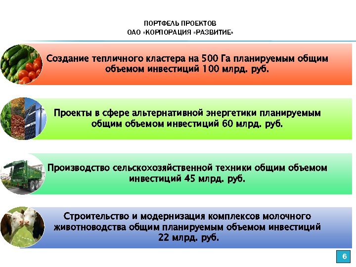 ПОРТФЕЛЬ ПРОЕКТОВ ОАО «КОРПОРАЦИЯ «РАЗВИТИЕ» Создание тепличного кластера на 500 Га планируемым общим объемом