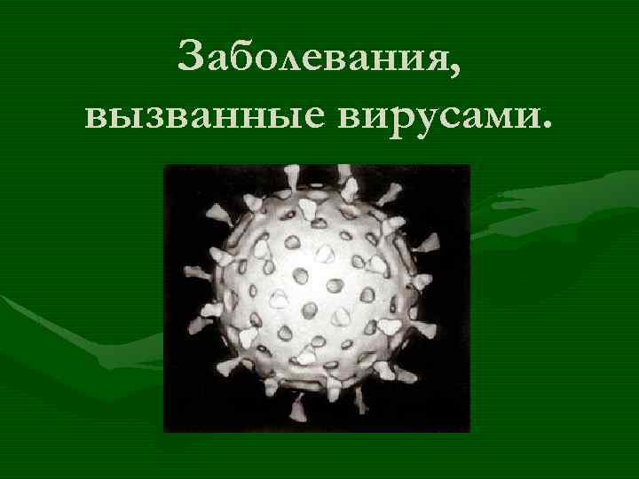 Грибы заболевания вызываемые вирусом. Заболевания вызываемымые вирусами. Болезни вызываемые вирусами. Какие заболевания вызывают вирусы. Заболевания вызываемые вирусами у животных.