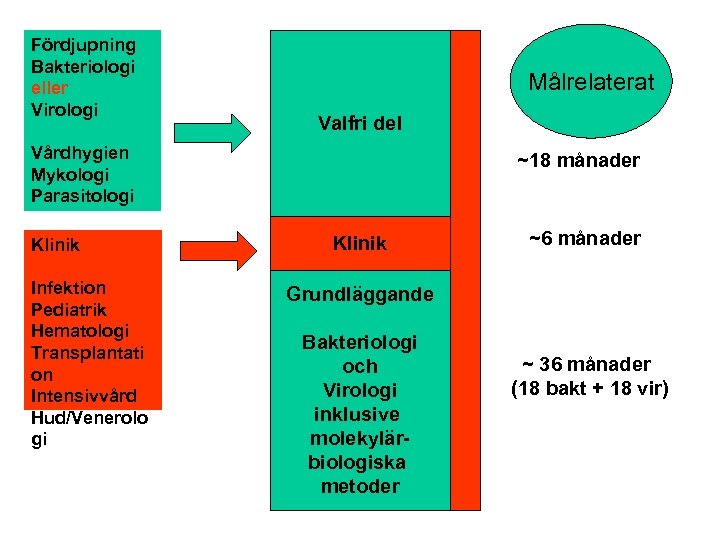 Fördjupning Bakteriologi eller Virologi Målrelaterat Valfri del Vårdhygien Mykologi Parasitologi Klinik Infektion Pediatrik Hematologi