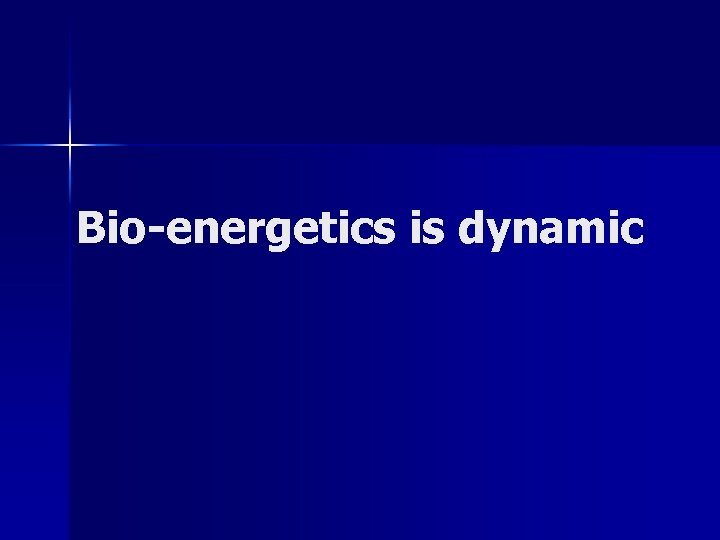 Bio-energetics is dynamic 